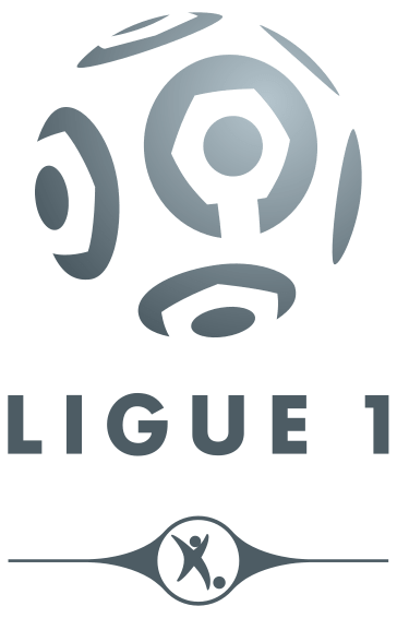 Ligue 1 : Yahia prend trois matches, Kana-Biyik deux